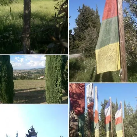 Dany * Castellina Marittima