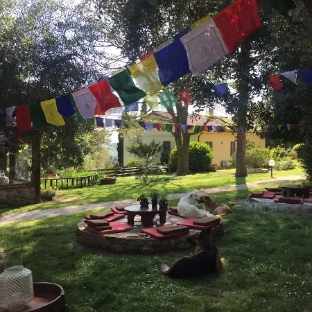 Dany Guest house *