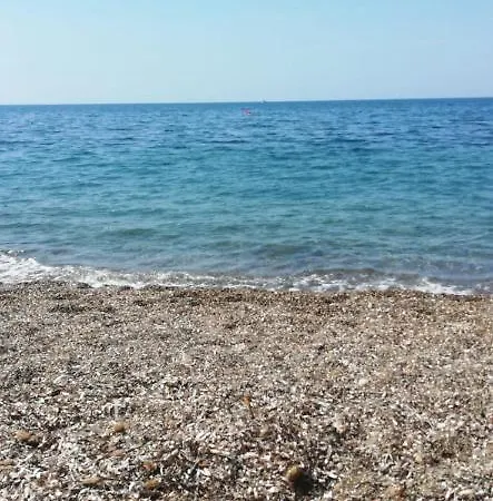 Guest house Dany Castellina Marittima
