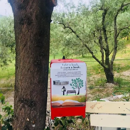 Dany Castellina Marittima